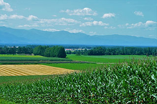 Obihiro City