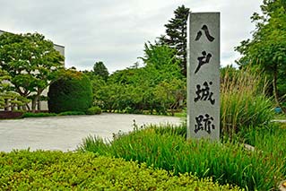 Hon Hachinohe City
