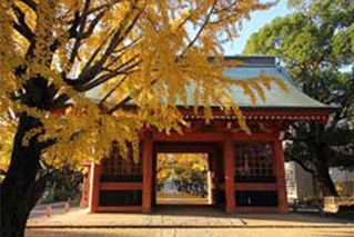 Ichikawa City