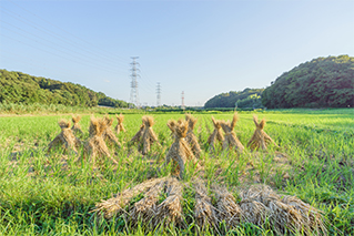 Yotsukaido City