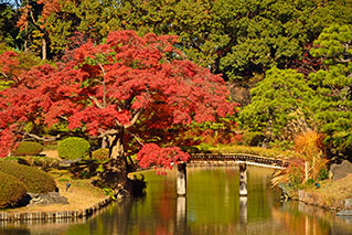 Bunkyo Ward
