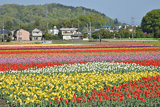 Hamura City