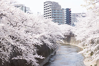 Itabashi Ward