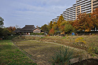 Kita Ward