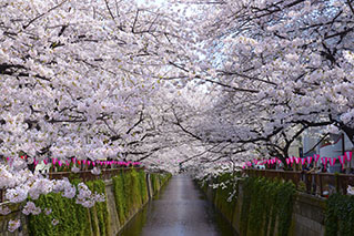 Meguro Ward