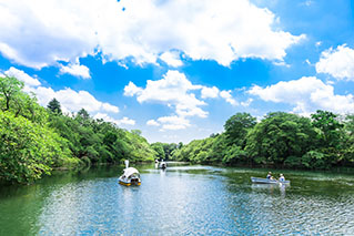Musashino City