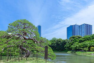 Ochanomizu, Yushima, Kudan, Korakuen