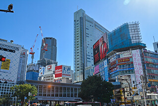 Shibuya, Meguro, Setagaya