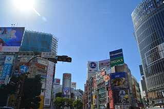 Shibuya Ward