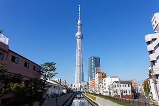 Sumida Ward