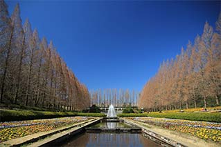 Sagamihara City