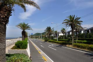Yokosuka Chuo City