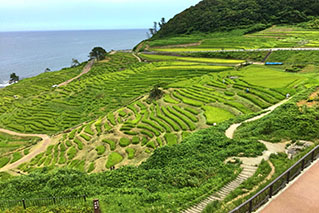 Northern Ishikawa(Nanao/Wajima/Noto)