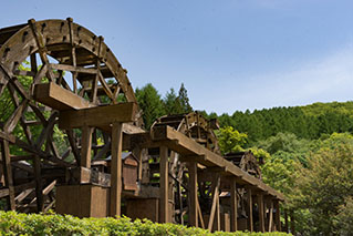 Eastern Yamanashi(Fujigoko/Otsuki)