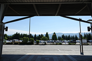 4. You can leave from the parking lot in front of the exit.