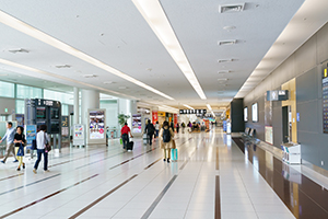 2. Go straight to the lobby of the domestic line.