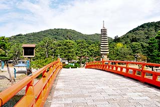 Uji City