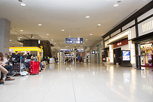 1. The Domestic Arrival Gate is on the second floor in Terminal.