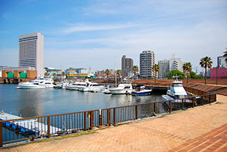 Southern Osaka(Sakai/Kishiwada/Izumisano)