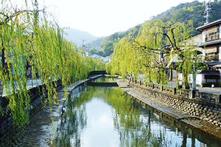Northern Hyogo(Wadayama/Toyooka)