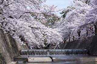 Nishinomiya City