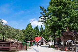 Rokko mountain City