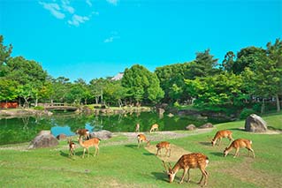 Kintetsu Nara City