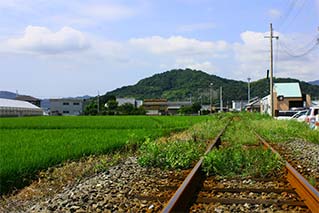 Gobo City