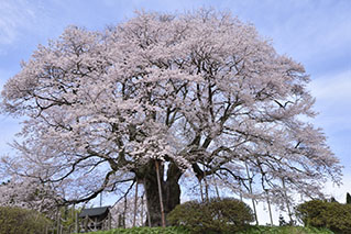 Northern Okayama(Tsuyama/Maniwa/Niimi)