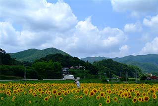 Miyoshi City