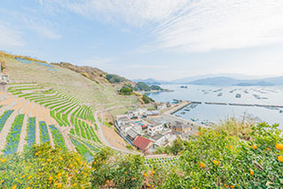 Western Ehime(Uwajima/Nanyo)
