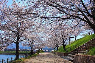 Imabari City