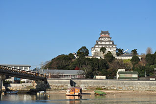 Northern Saga(Karatsu/Imari/Arita)