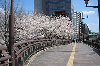 Taikobashi