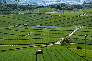 Yatsushiro City