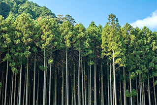 Nakatsu City