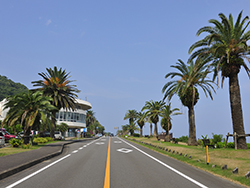 Miyazaki City