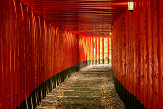 Eastern Kagoshima(Minami-Osumi/Kanoya/Shibushi)