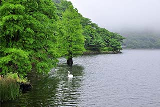 Satsuma Kawauchi City