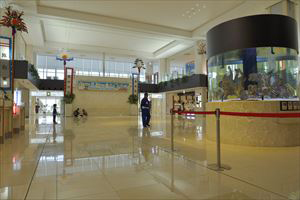 2. Get out from the exit in front of the arrival gate.