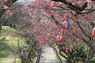 Nago City