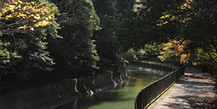 京都ドライブコース