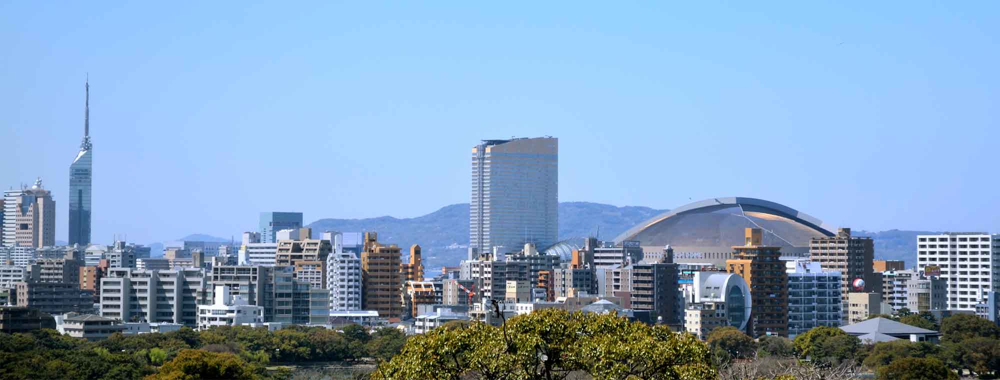 背景
