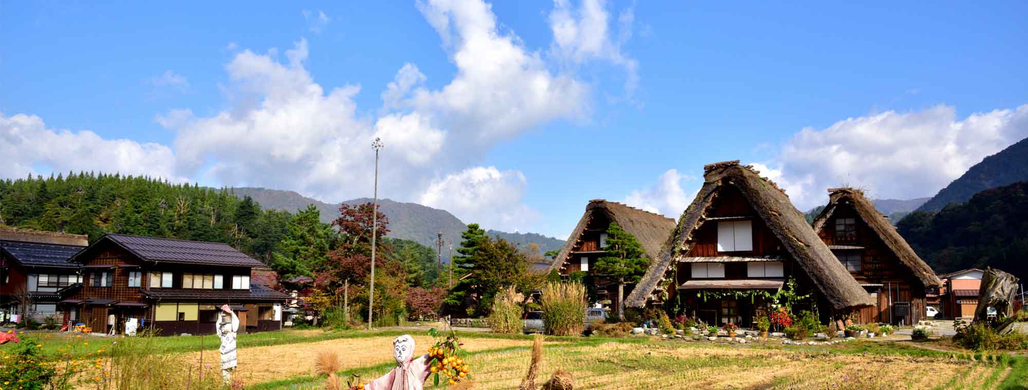 背景