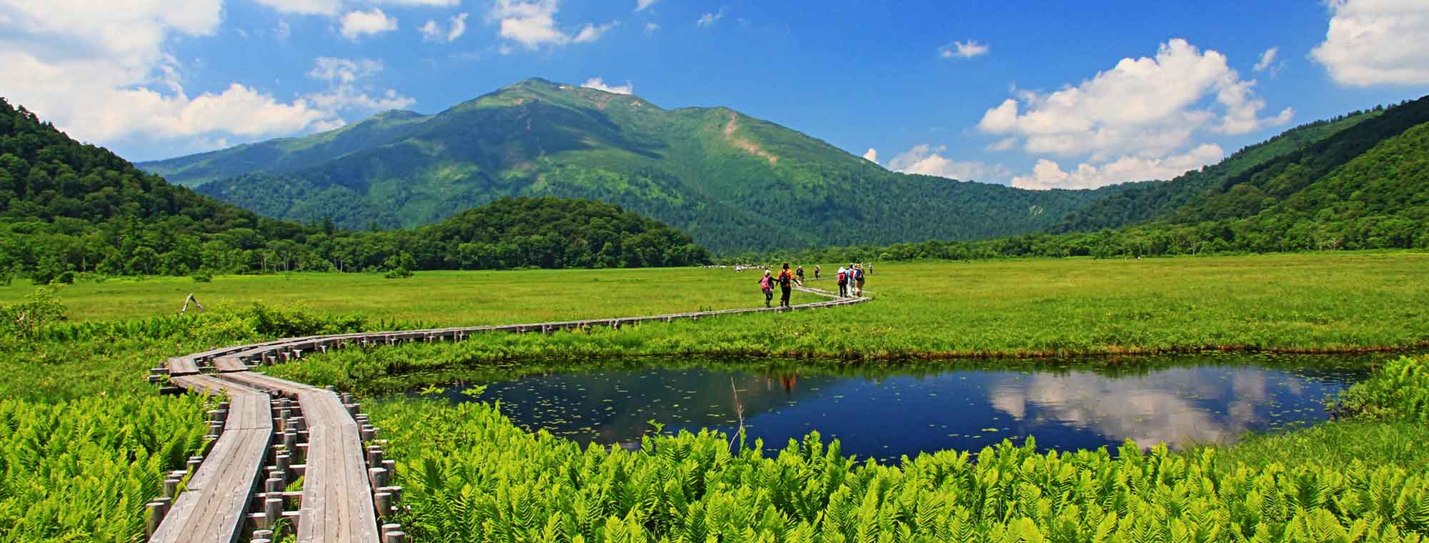 背景