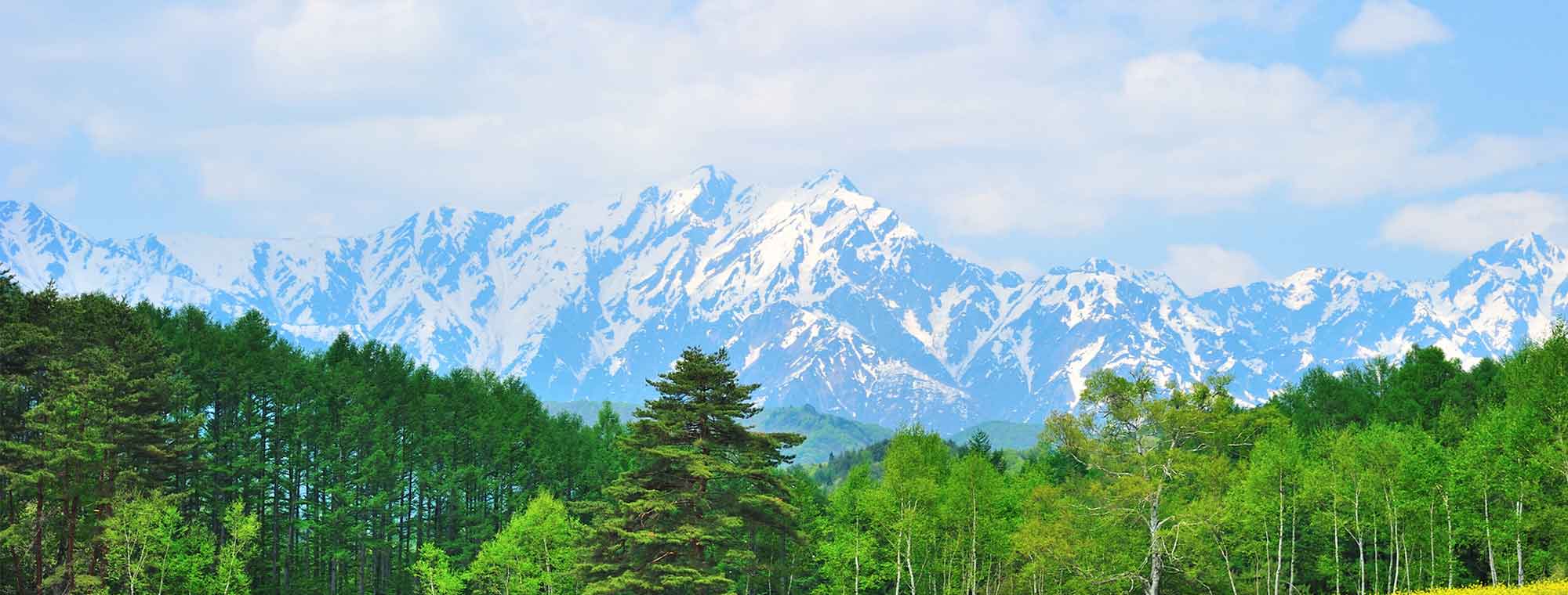 背景