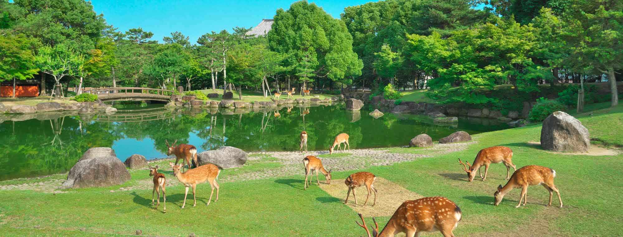 背景