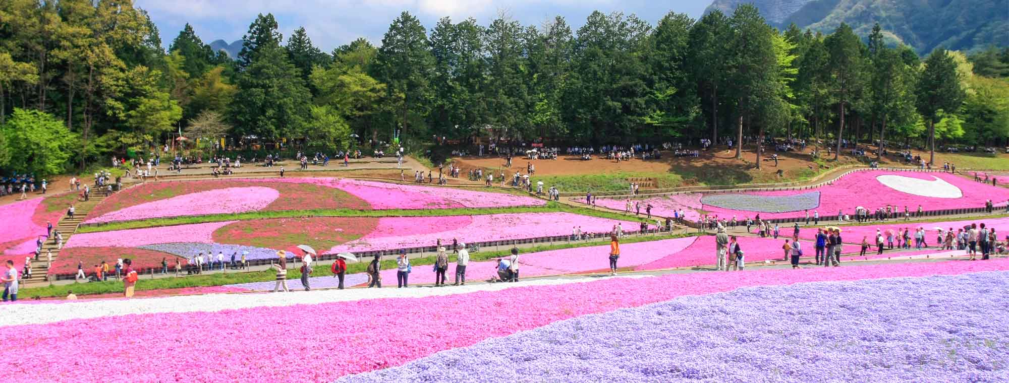 背景