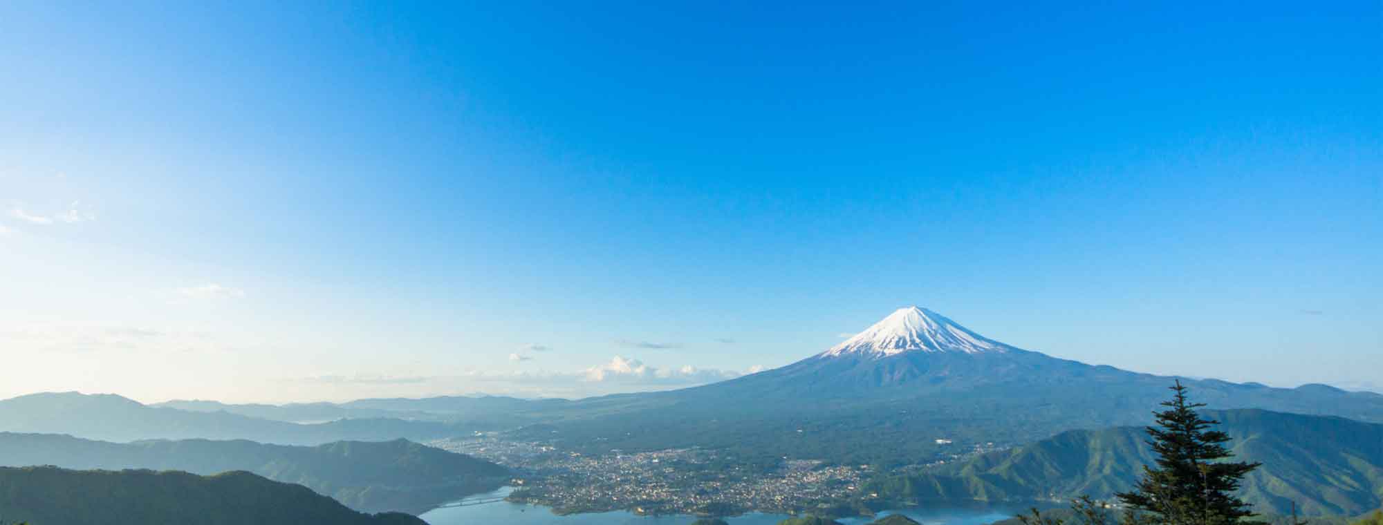 背景