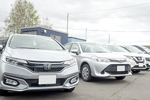 Recommended for those who want to select the car manufacturer and model!